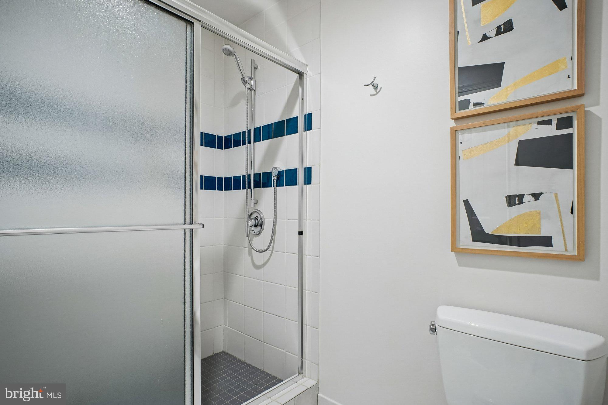 8512 Burning Tree Road Bethesda, MD 20817 - Photo 57 of 78 Hall Bath #2