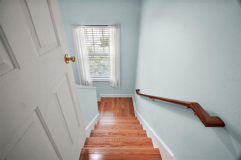 809 Northside Drive Mount Dora, FL 32757 - Photo 33 of 58