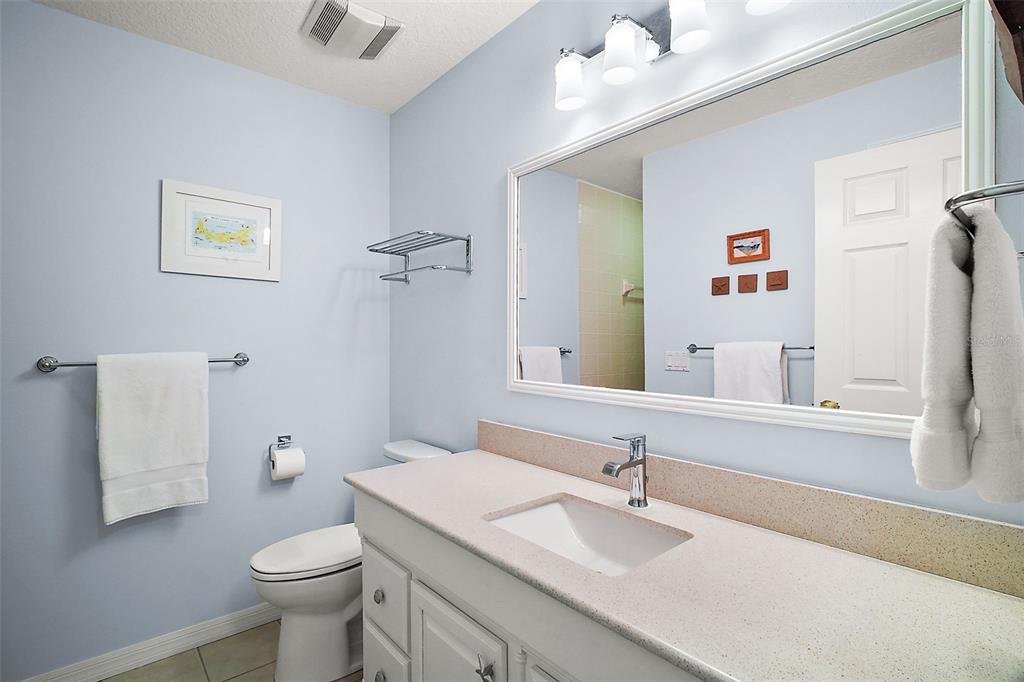 809 Northside Drive Mount Dora, FL 32757 - Photo 41 of 58