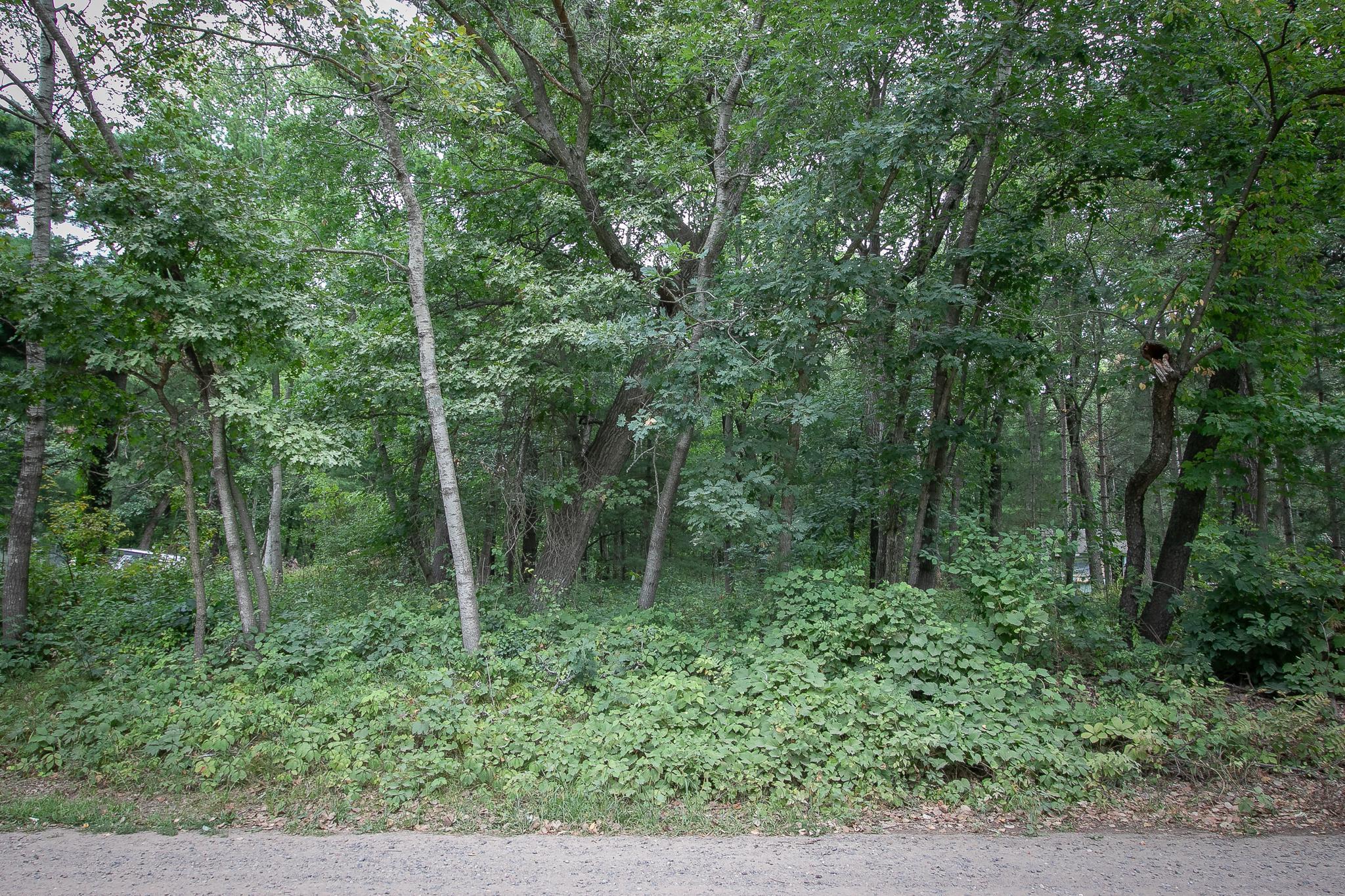 Tbd 241st Avenue Northeast Stacy, MN 55079 - Photo 2 of 28 Gallery Image 2