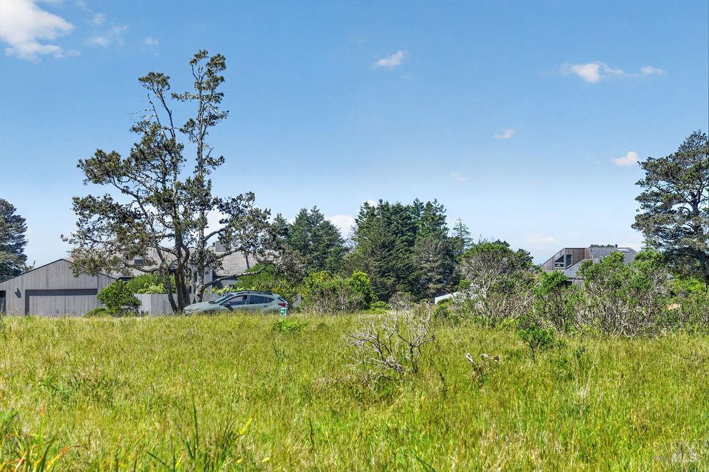 35604 Timber Ridge Road The Sea Ranch, CA 95497 - Photo 6 of 12