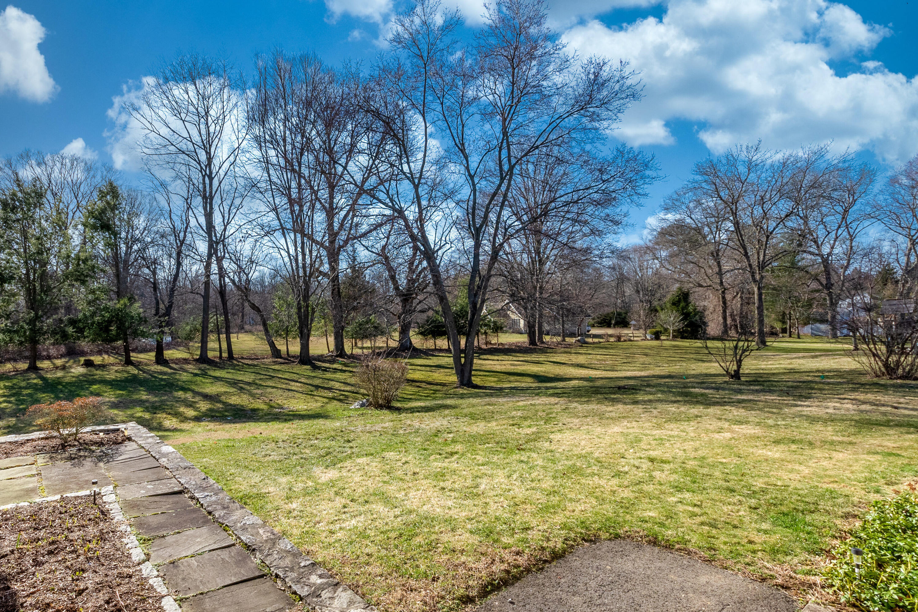 11 Cottontail Road Norwalk, CT 06854 - Photo 42 of 51 a view of a yard with large trees
