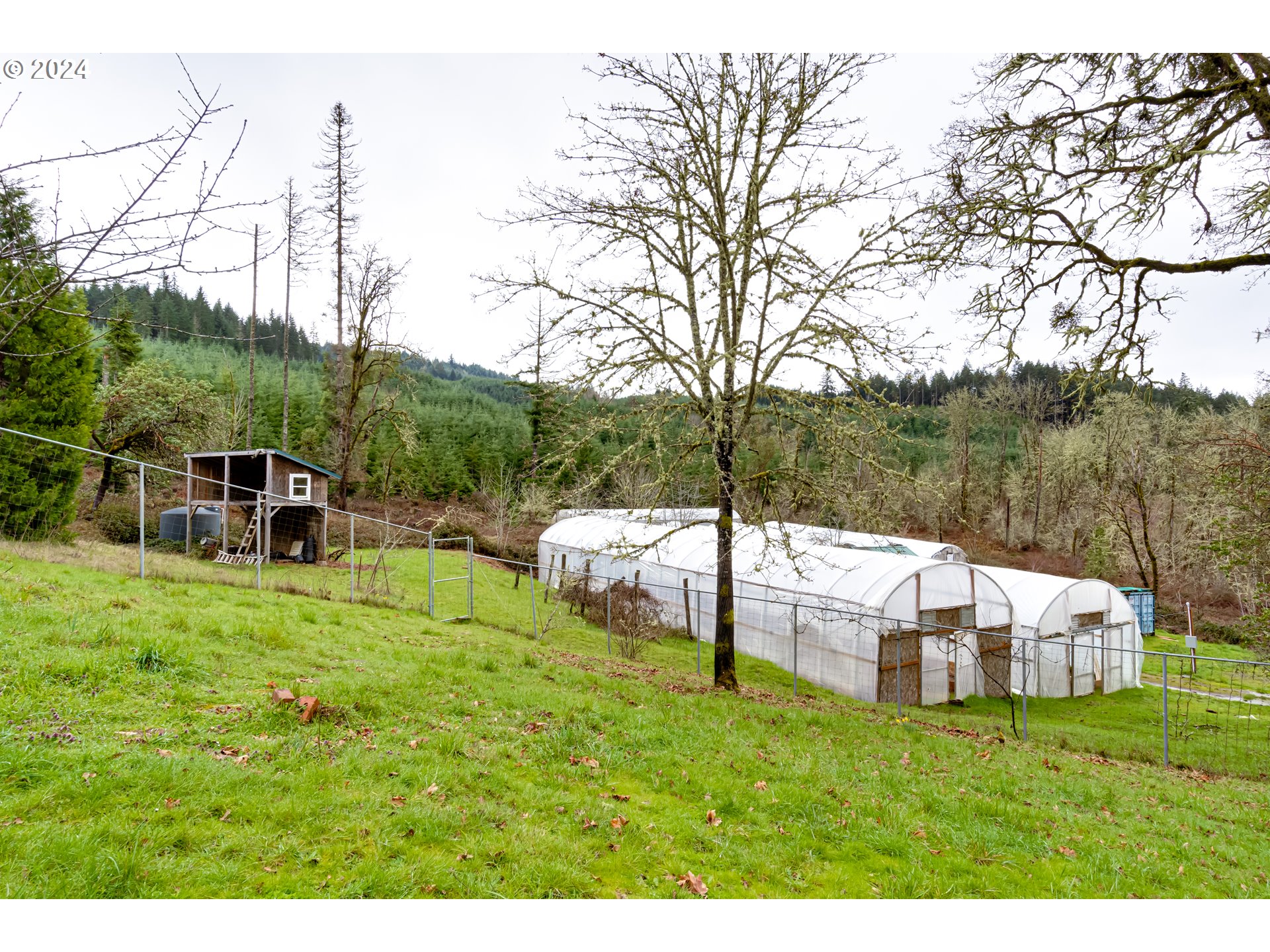 25818 Cherry Creek Road Monroe, OR 97456 - Photo 32 of 44 Greenhouse