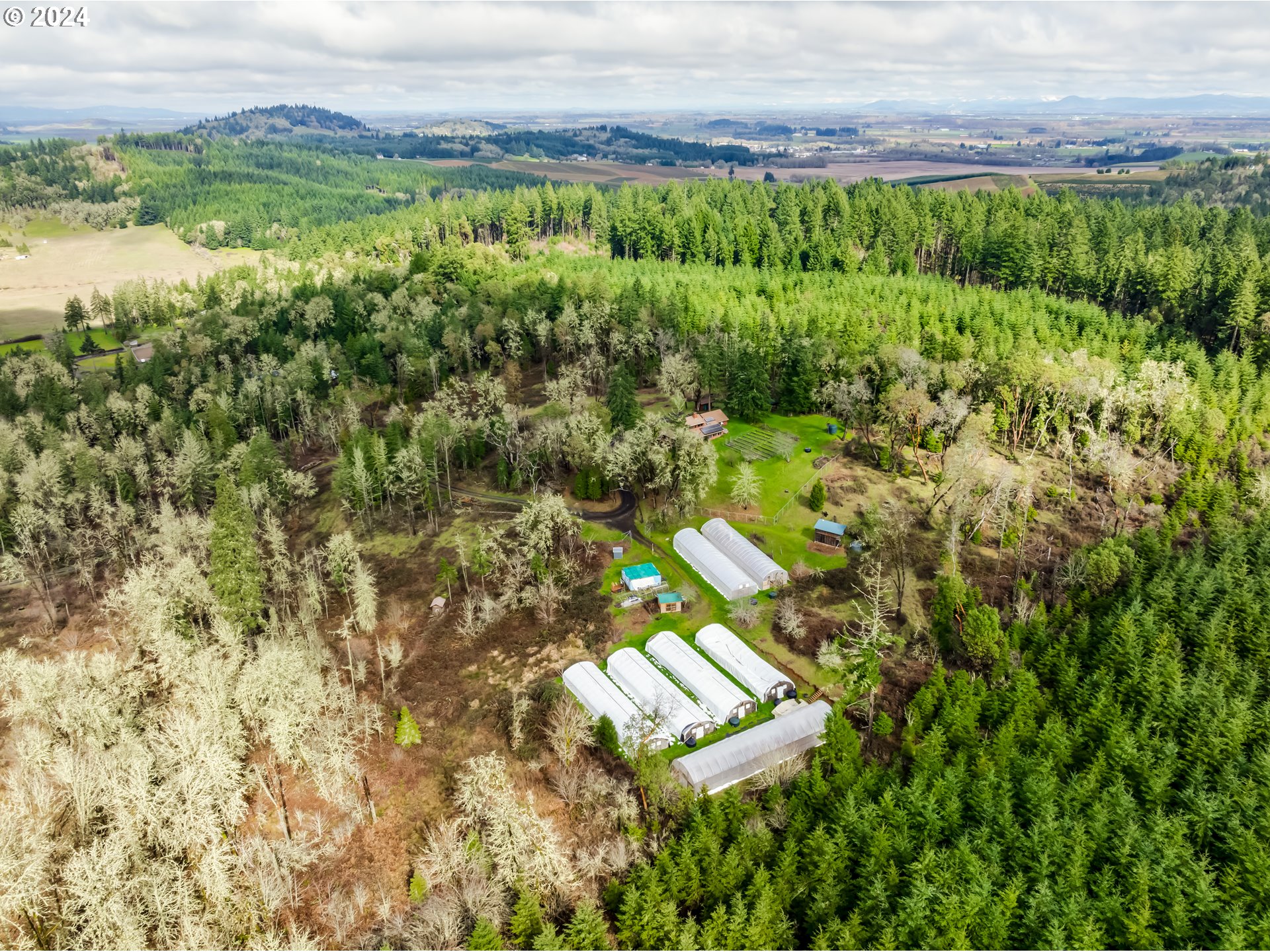 25818 Cherry Creek Road Monroe, OR 97456 - Photo 4 of 44 Acreage