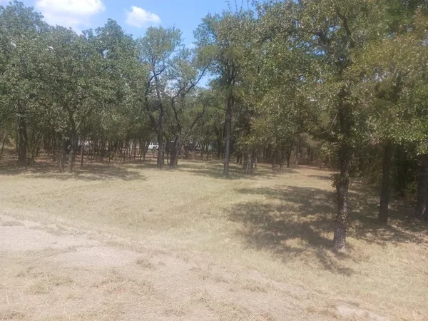 a view of outdoor space with trees