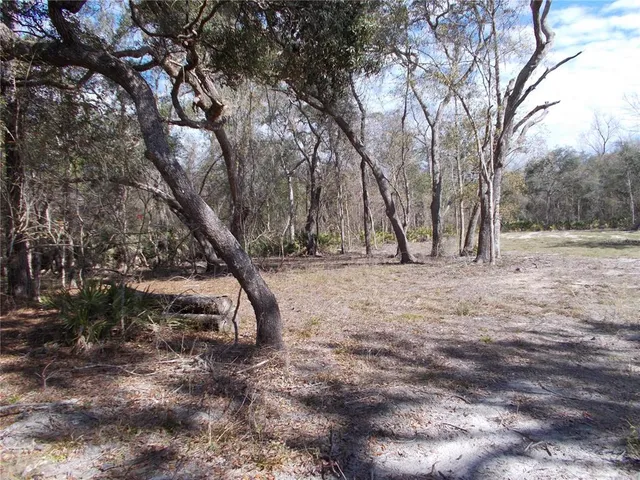 a view of backyard of the house