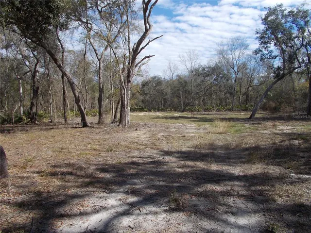 a view of dirt field with trees