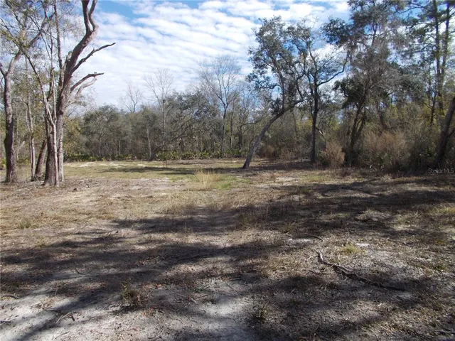 a view of dirt yard with trees