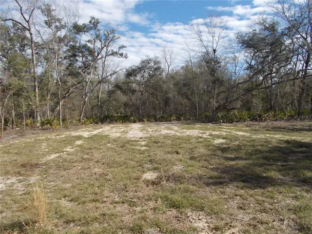 a view of large yard with large trees