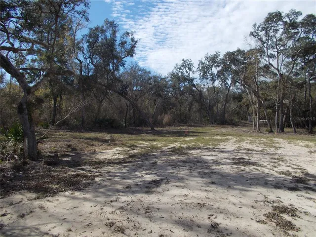 a view of outdoor space with trees