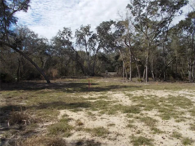 a view of outdoor space with trees