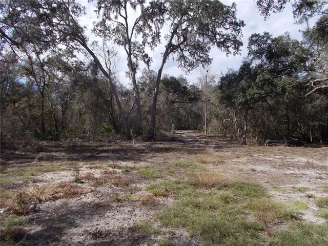 a view of outdoor space with trees