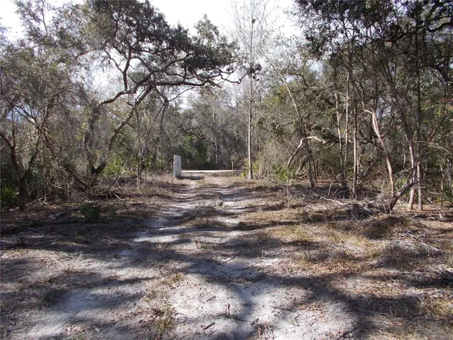 a view of outdoor space with trees