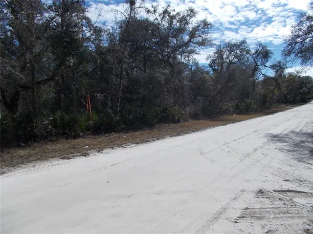 a view of a covered with snow in the background