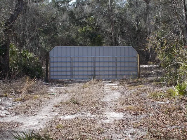 a view of a small yard