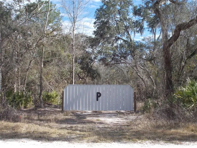 a view of a dry yard with trees