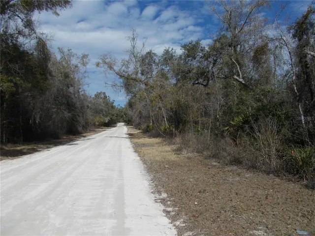 a view of a pathway with a yard