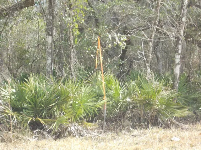 a view of outdoor space and trees all around