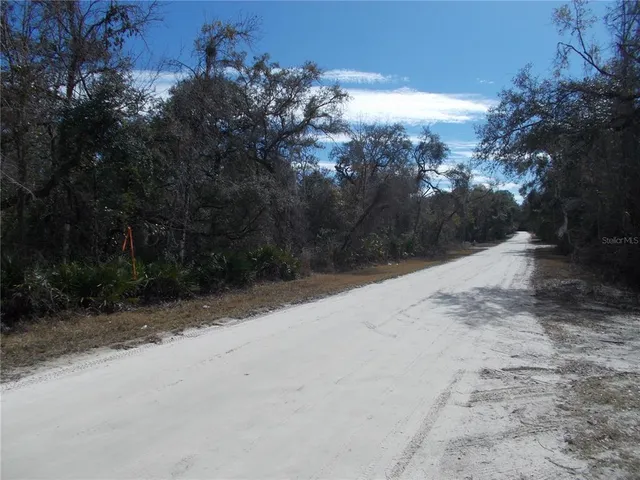 a view of road and trees