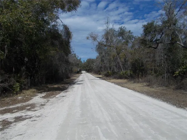 a view of a backyard of a house