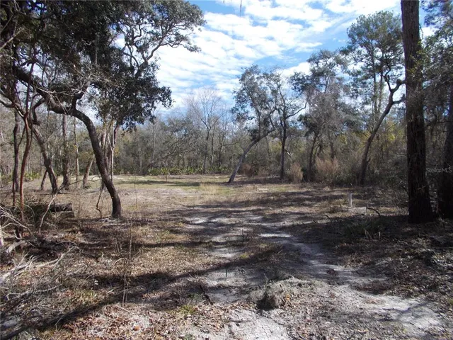 a view of outdoor space area