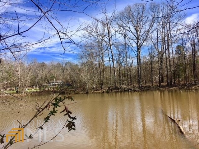 0 Shoals Point Eatonton, GA 31024 - Photo 1 of 1 Gallery Image 1