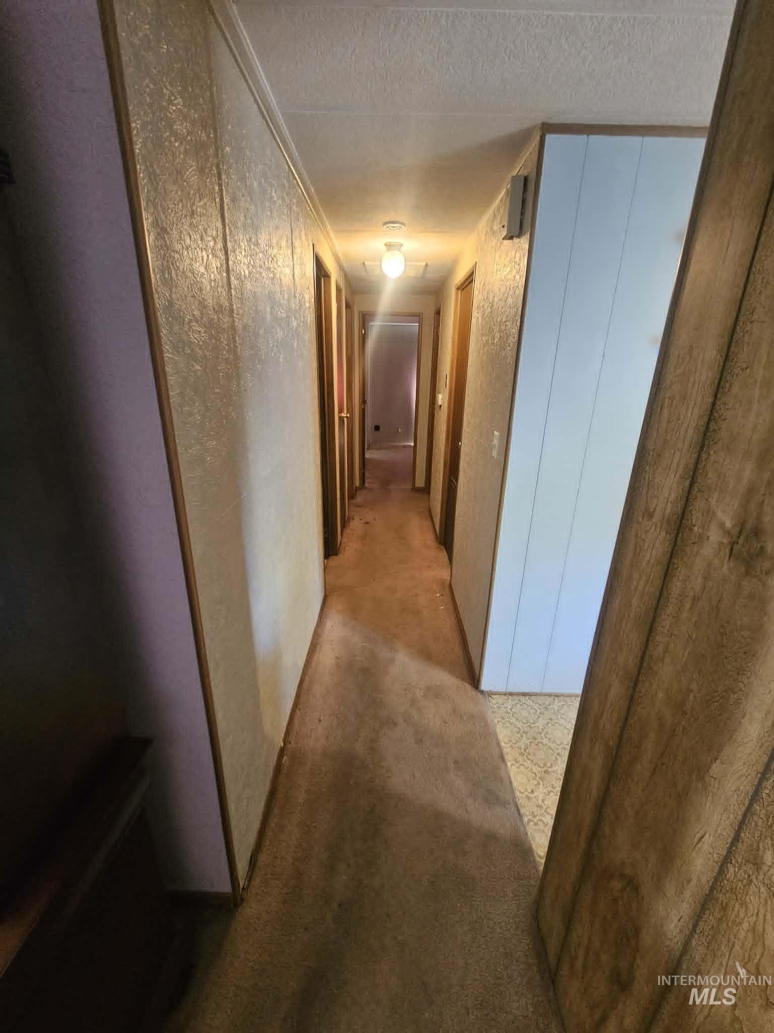 461 Greenleaf Street Boise, ID 83713 - Photo 9 of 19 Hallway featuring textured wall panels, carpet flooring, multiple wooden doors, and a ceiling-mounted light fixture