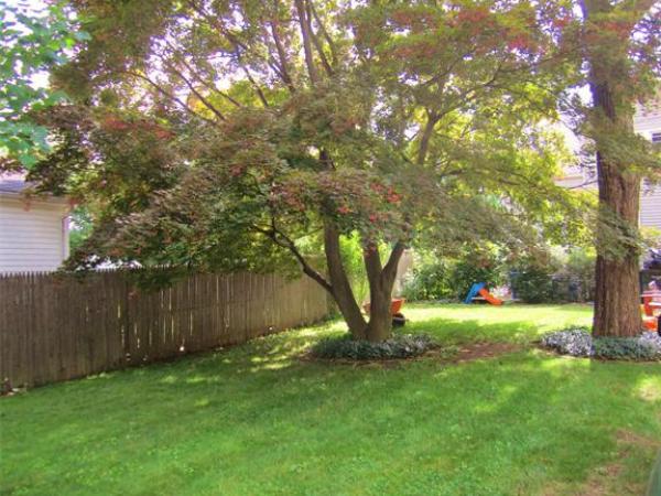 58 Thorndyke Street Springfield, MA 01118 - Photo 20 of 22 Gallery Image 20