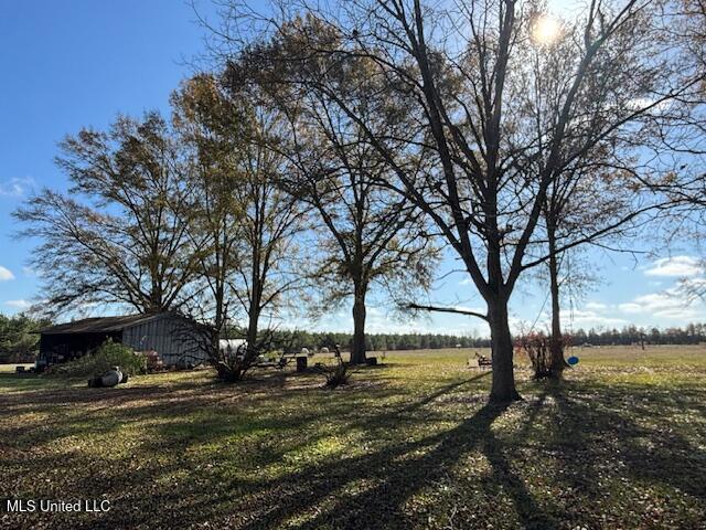 231 Laird Pittman Road Tylertown, MS 39667 - Photo 5 of 46 IMG_6923