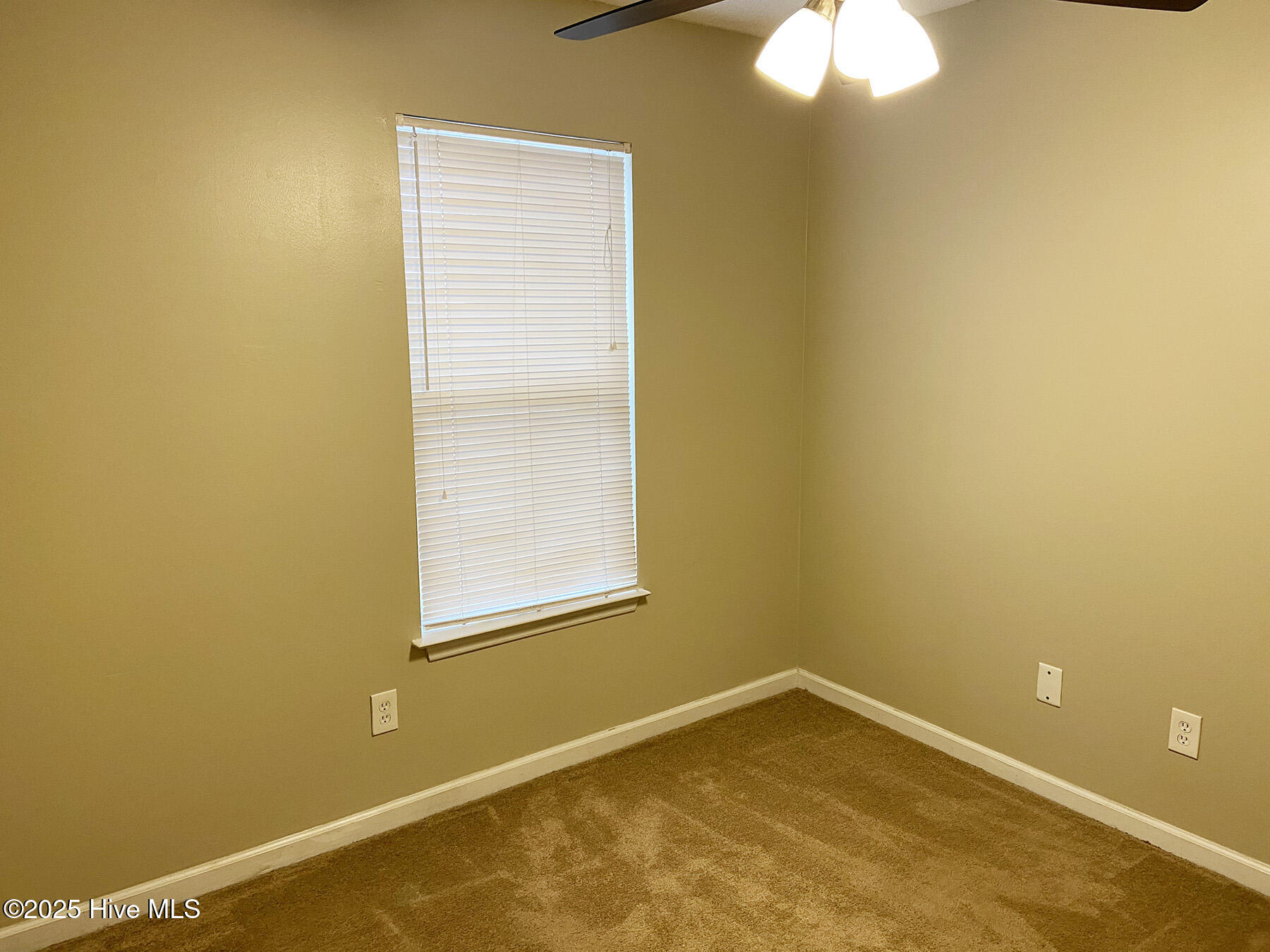 2526 Sapling Circle Wilmington, NC 28411 - Photo 6 of 12 2526saplingcir6_lg