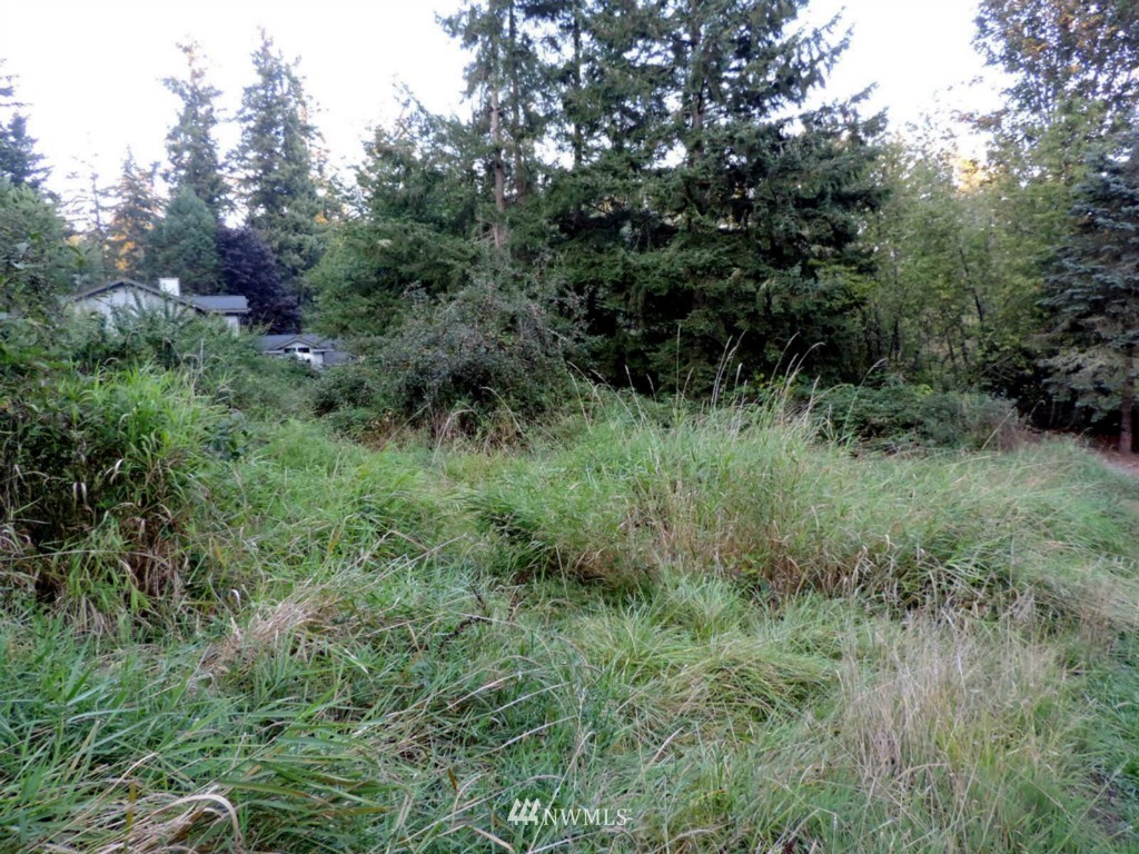 10636 Stedman Road Southeast Olympia, WA 98513 - Photo 6 of 10 Gallery Image 6