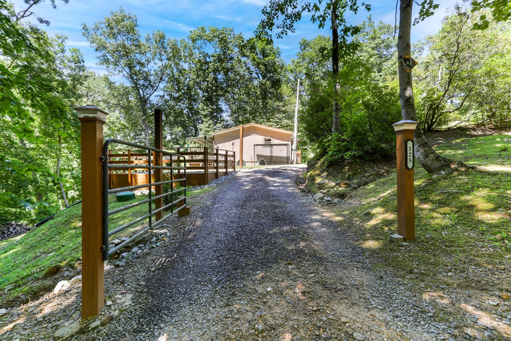 125 Upper Pond Road Murphy, NC 28906 - Photo 4 of 41