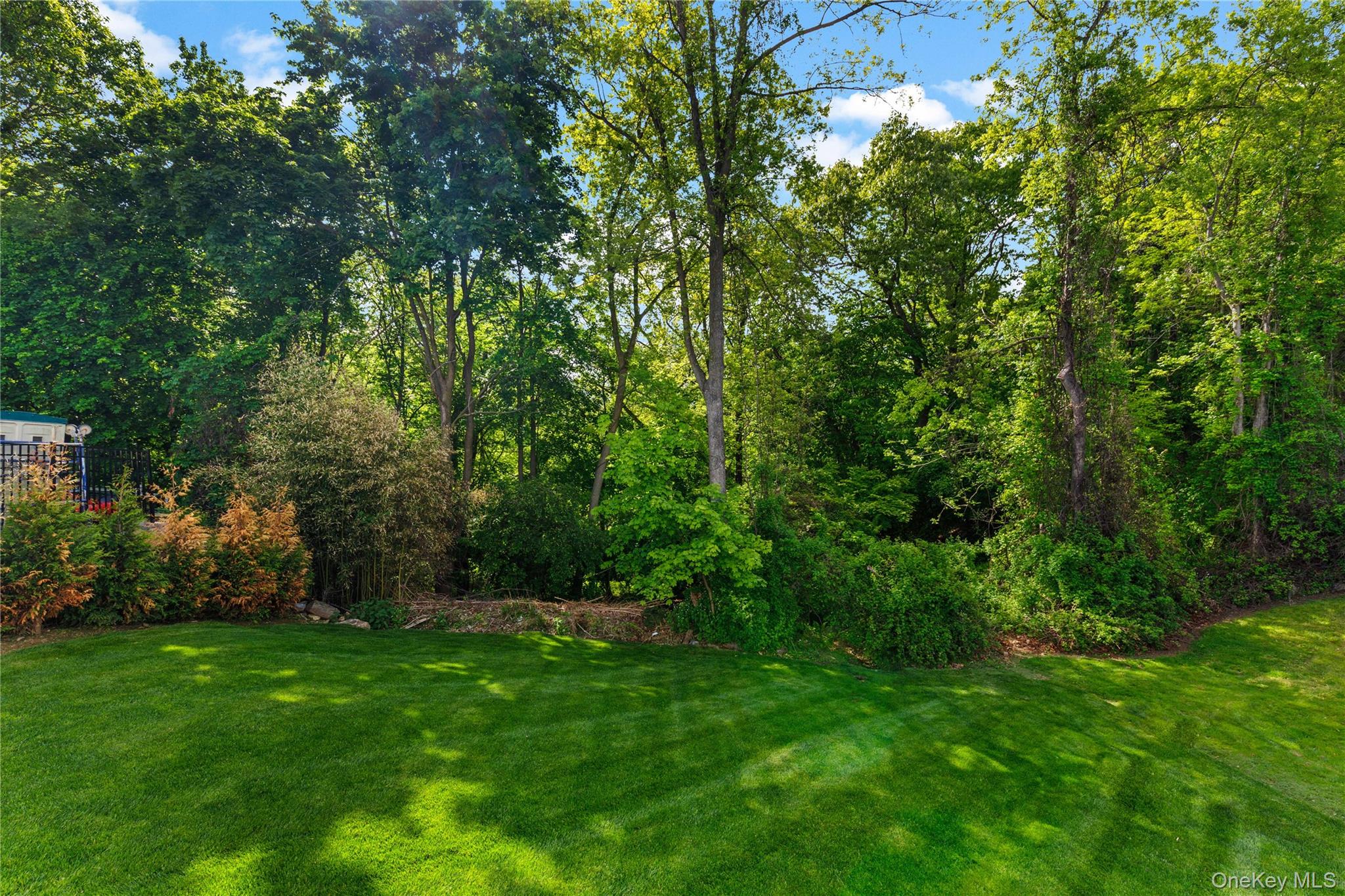 86 B Maple Street Rye, NY 10580 - Photo 27 of 33 a view of a yard with a tree