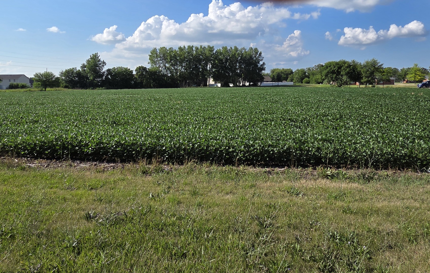 590 West Walnut Street Oglesby, IL 61348 - Photo 1 of 1