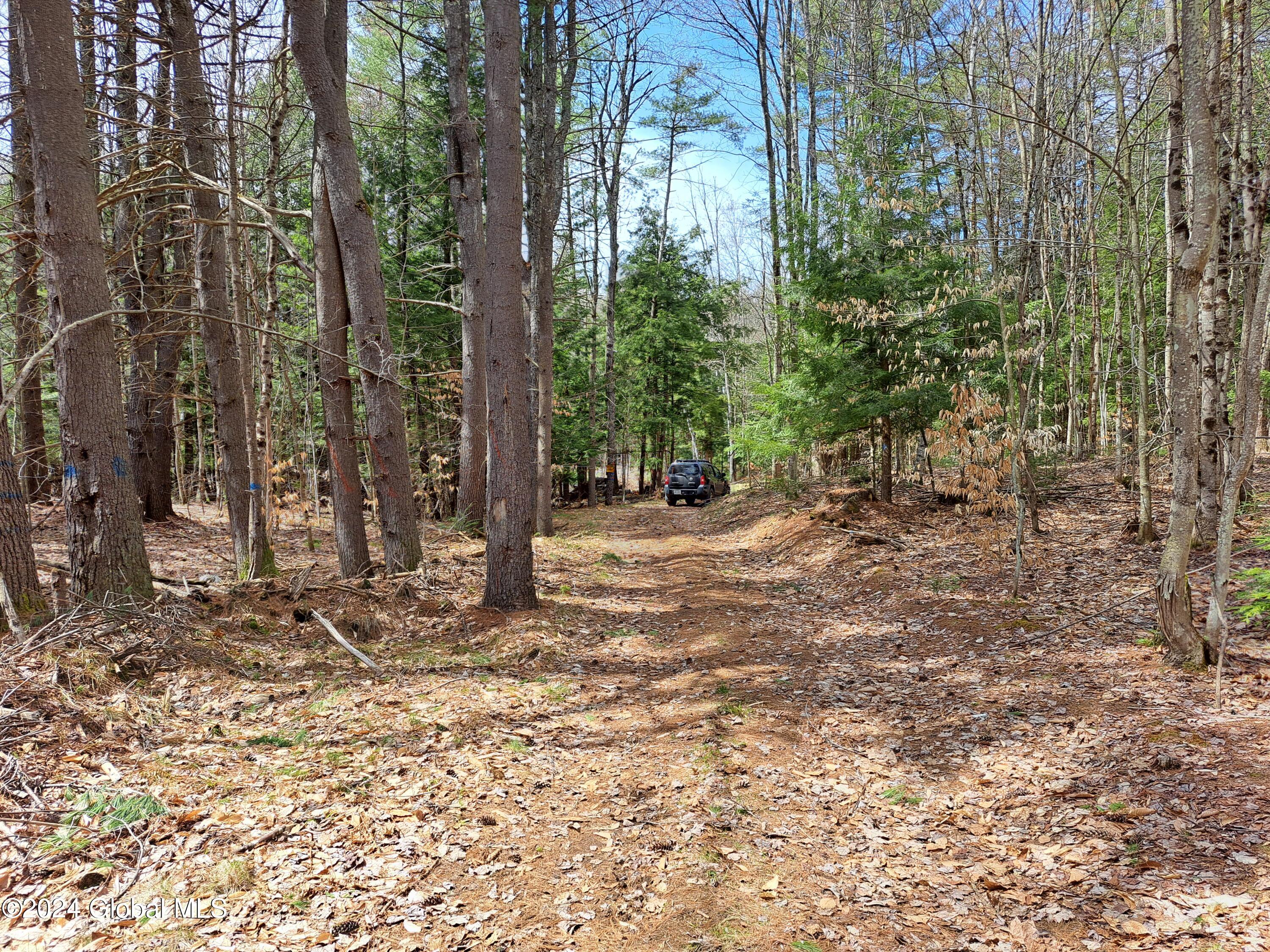 L21.1 Golf Course Road Warrensburg, NY 12885 - Photo 22 of 49 22 Access