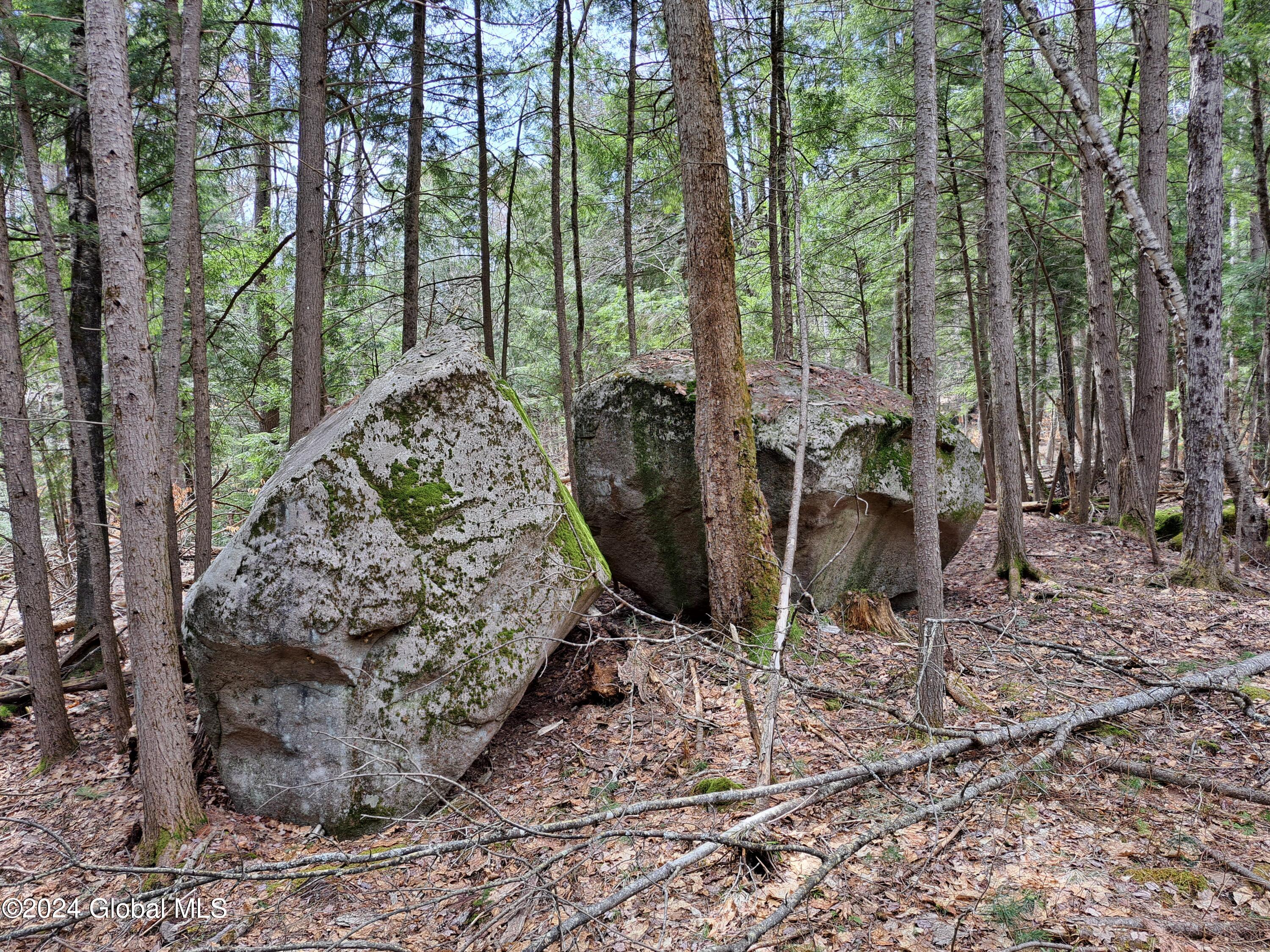 L21.1 Golf Course Road Warrensburg, NY 12885 - Photo 24 of 49 24 Another Angle of the Split Rock