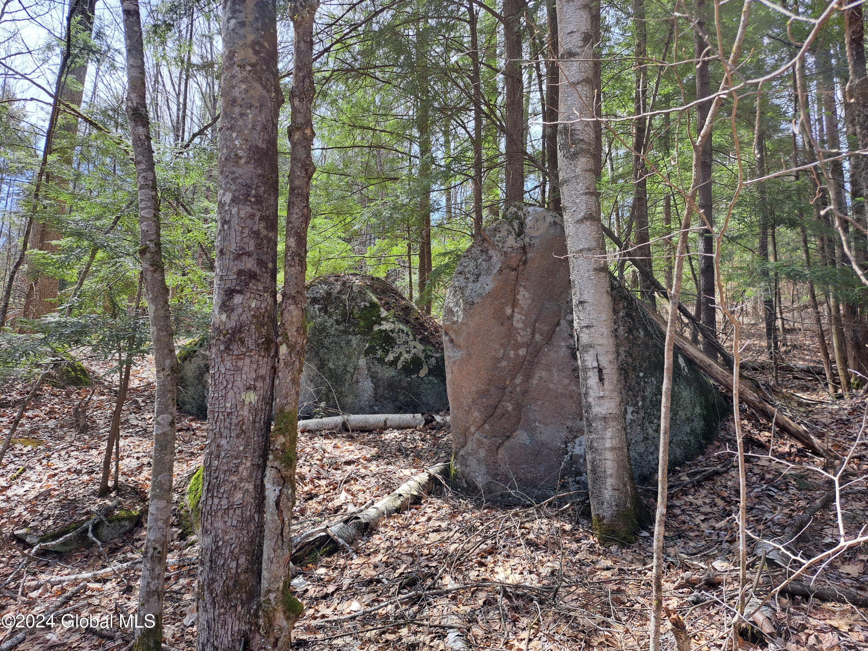 L21.1 Golf Course Road Warrensburg, NY 12885 - Photo 25 of 49 25 Glacial Erratics