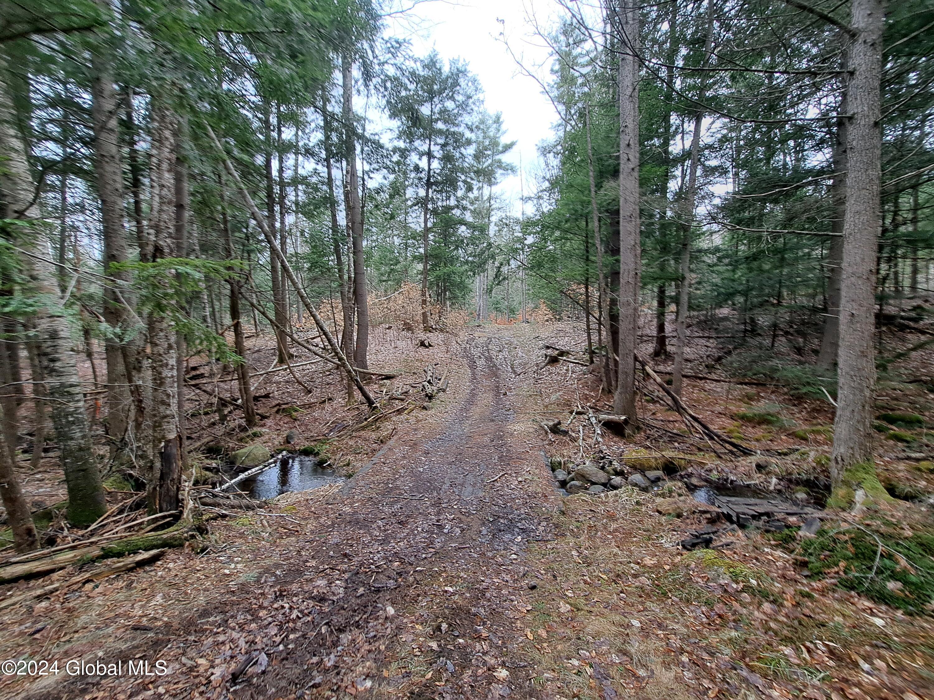 L21.1 Golf Course Road Warrensburg, NY 12885 - Photo 29 of 49 29 Bridge Over Stream
