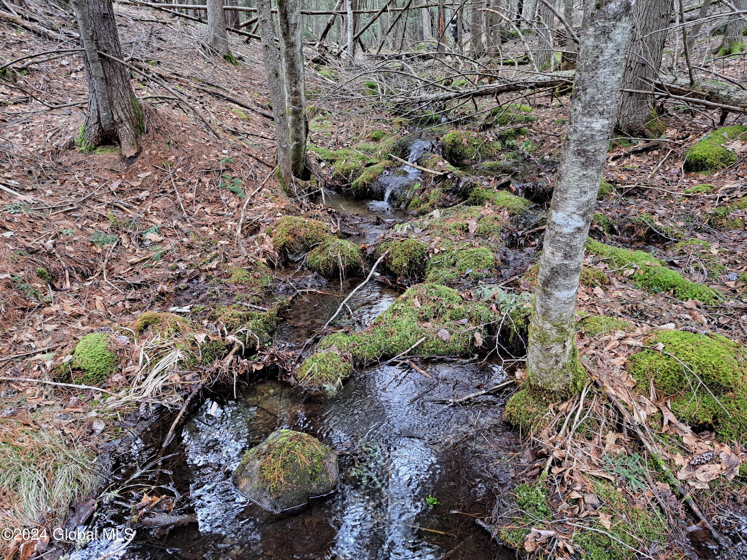 L21.1 Golf Course Road Warrensburg, NY 12885 - Photo 3 of 49 03 Seasonal Stream