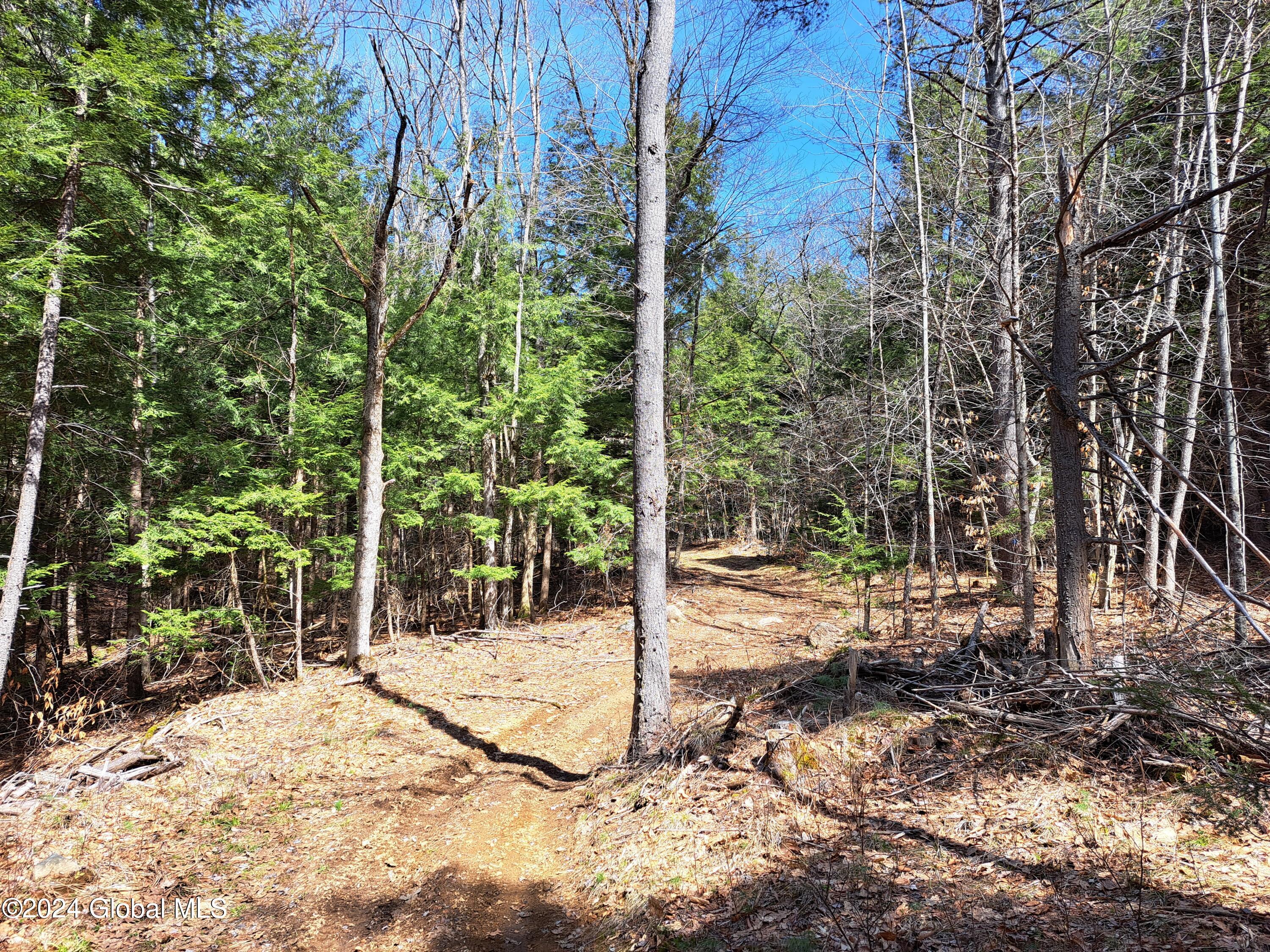 L21.1 Golf Course Road Warrensburg, NY 12885 - Photo 34 of 49 34 Well Maintained Trails