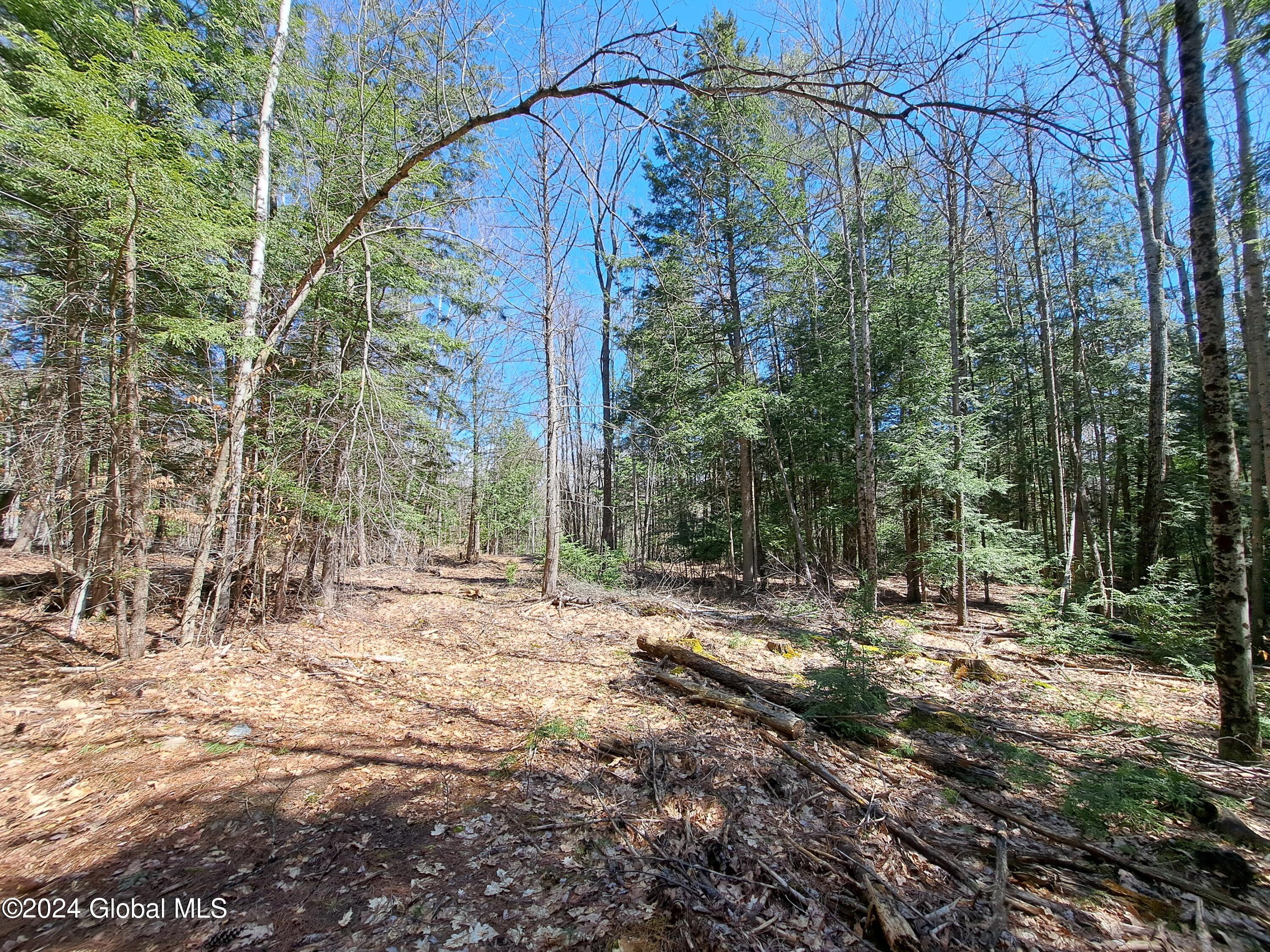 L21.1 Golf Course Road Warrensburg, NY 12885 - Photo 37 of 49 39 Small Forest Openings