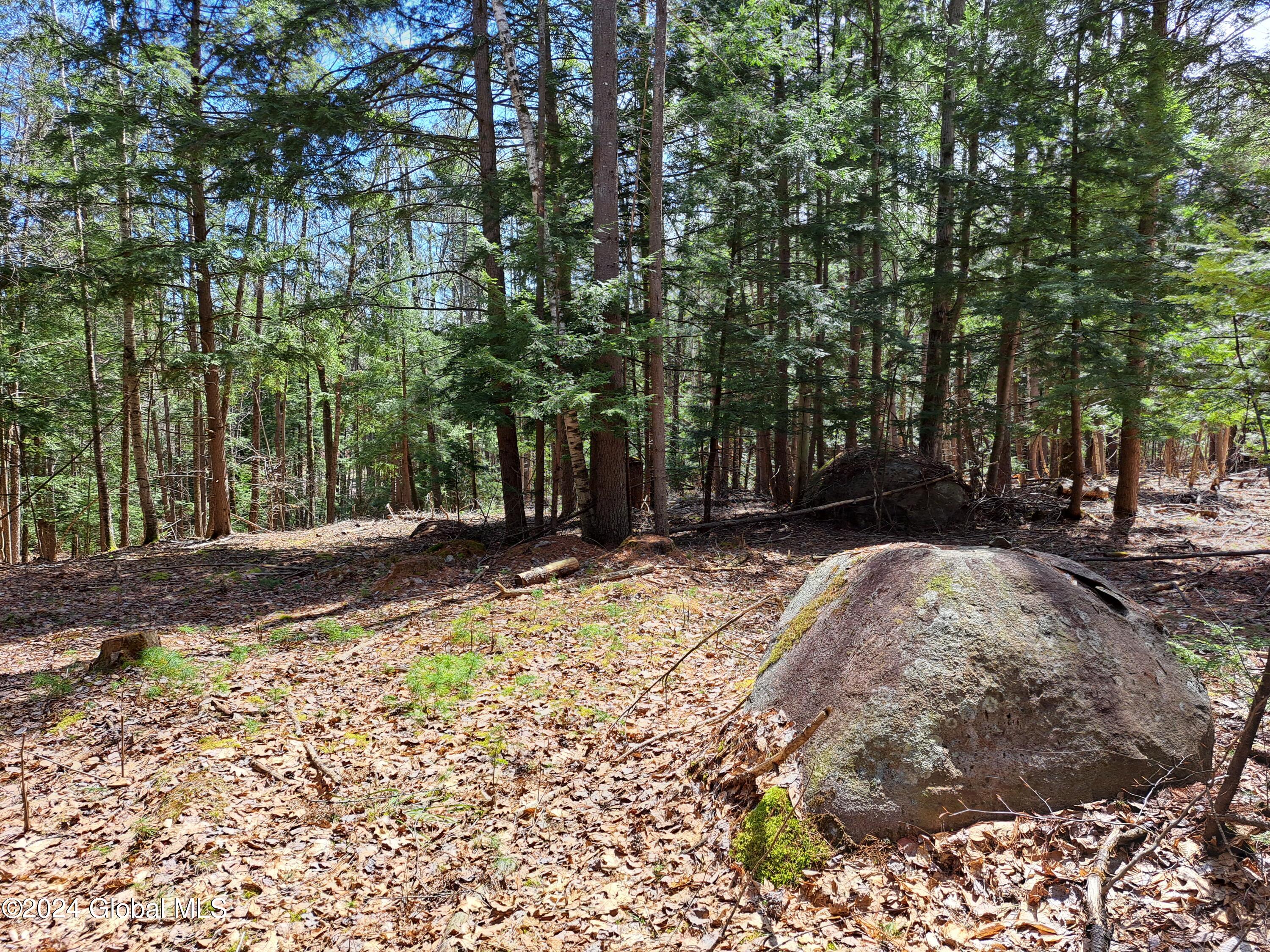 L21.1 Golf Course Road Warrensburg, NY 12885 - Photo 38 of 49 40 Trees and Boulders
