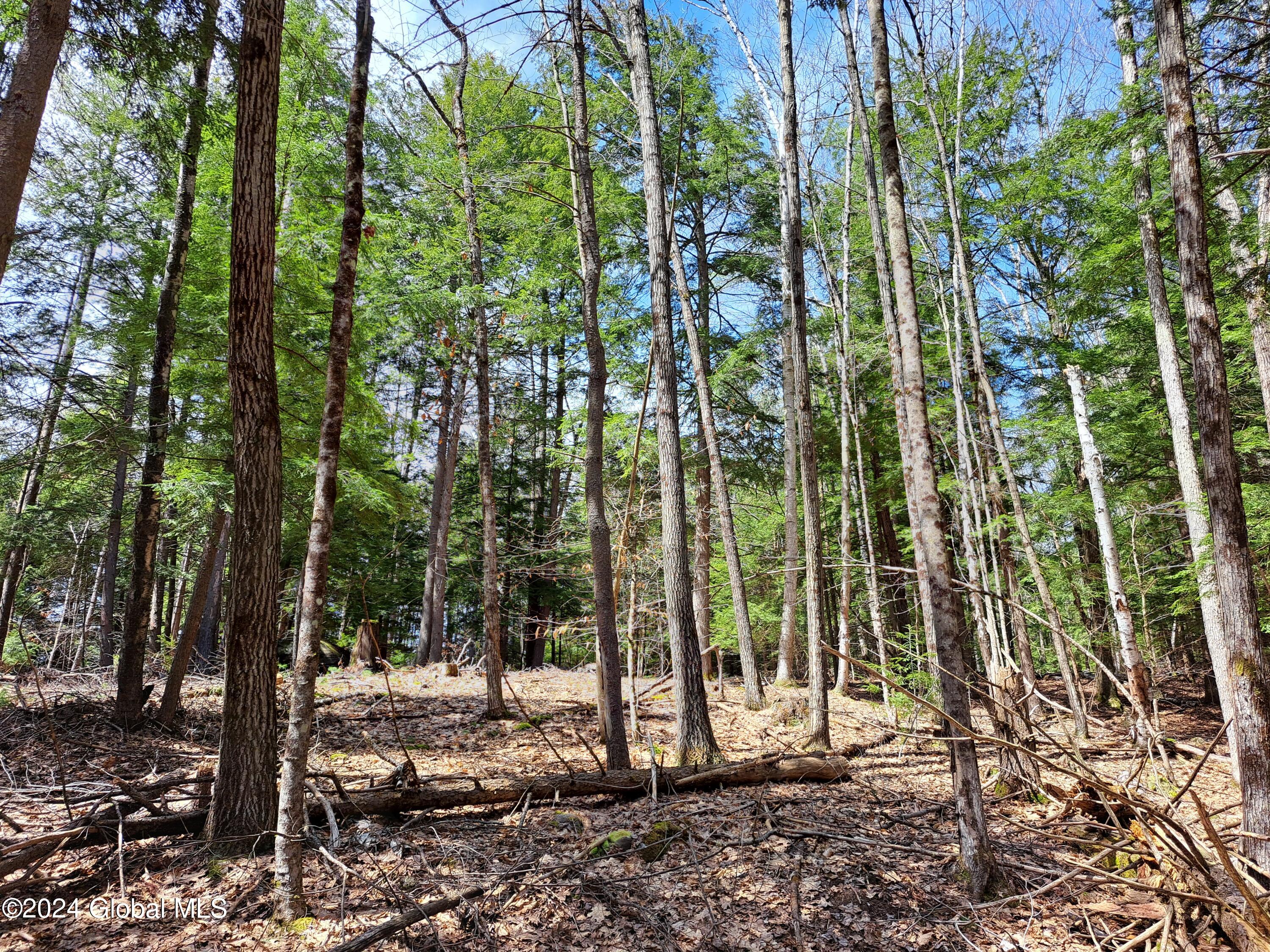 L21.1 Golf Course Road Warrensburg, NY 12885 - Photo 41 of 49 43 Red Oak Timber