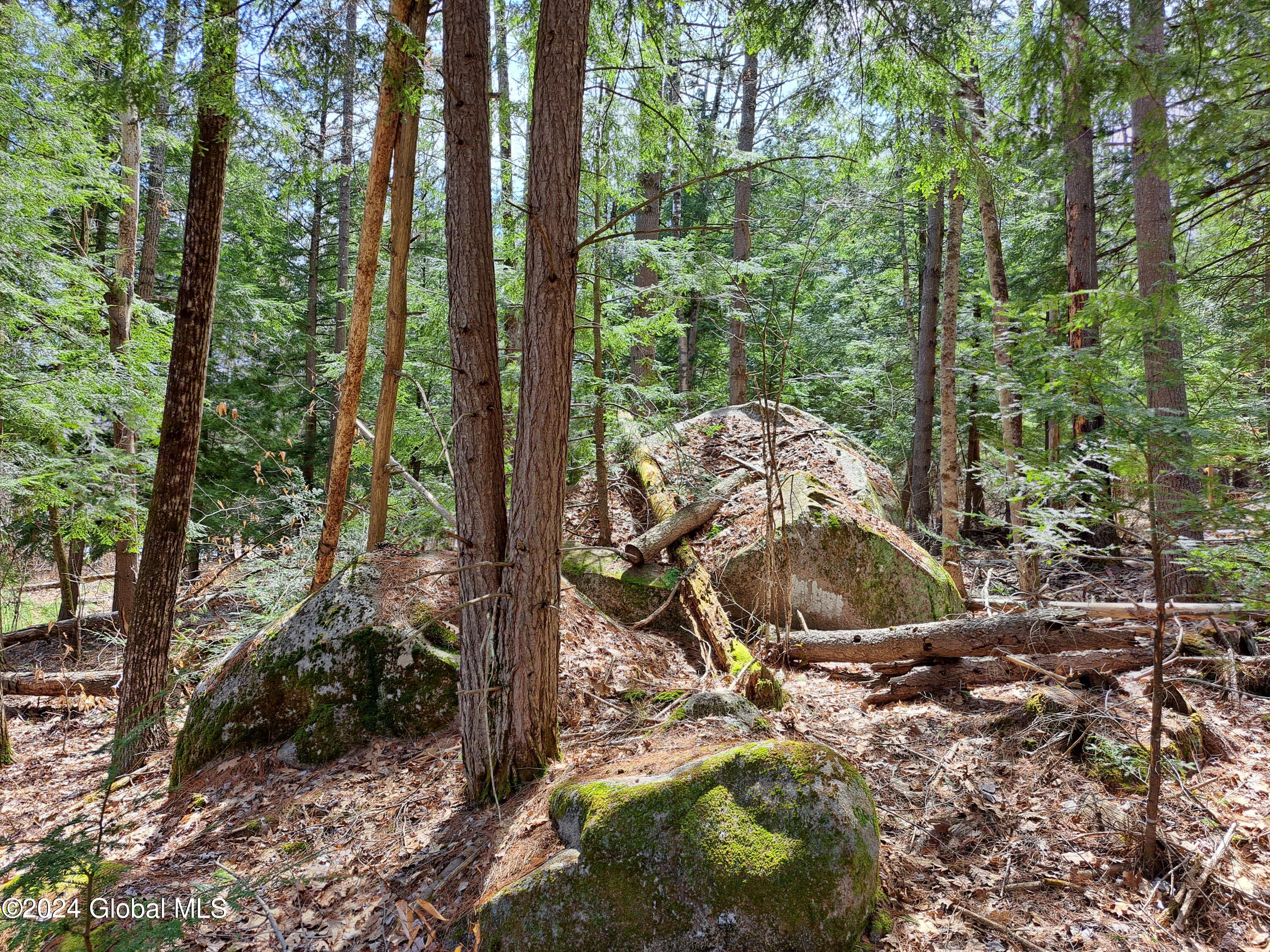 L21.1 Golf Course Road Warrensburg, NY 12885 - Photo 43 of 49 45 Glacial Boulder Field