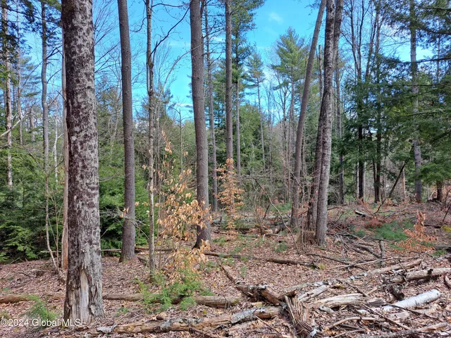 $242,900 | L21.1 Golf Course Road, Warrensburg, NY 12885