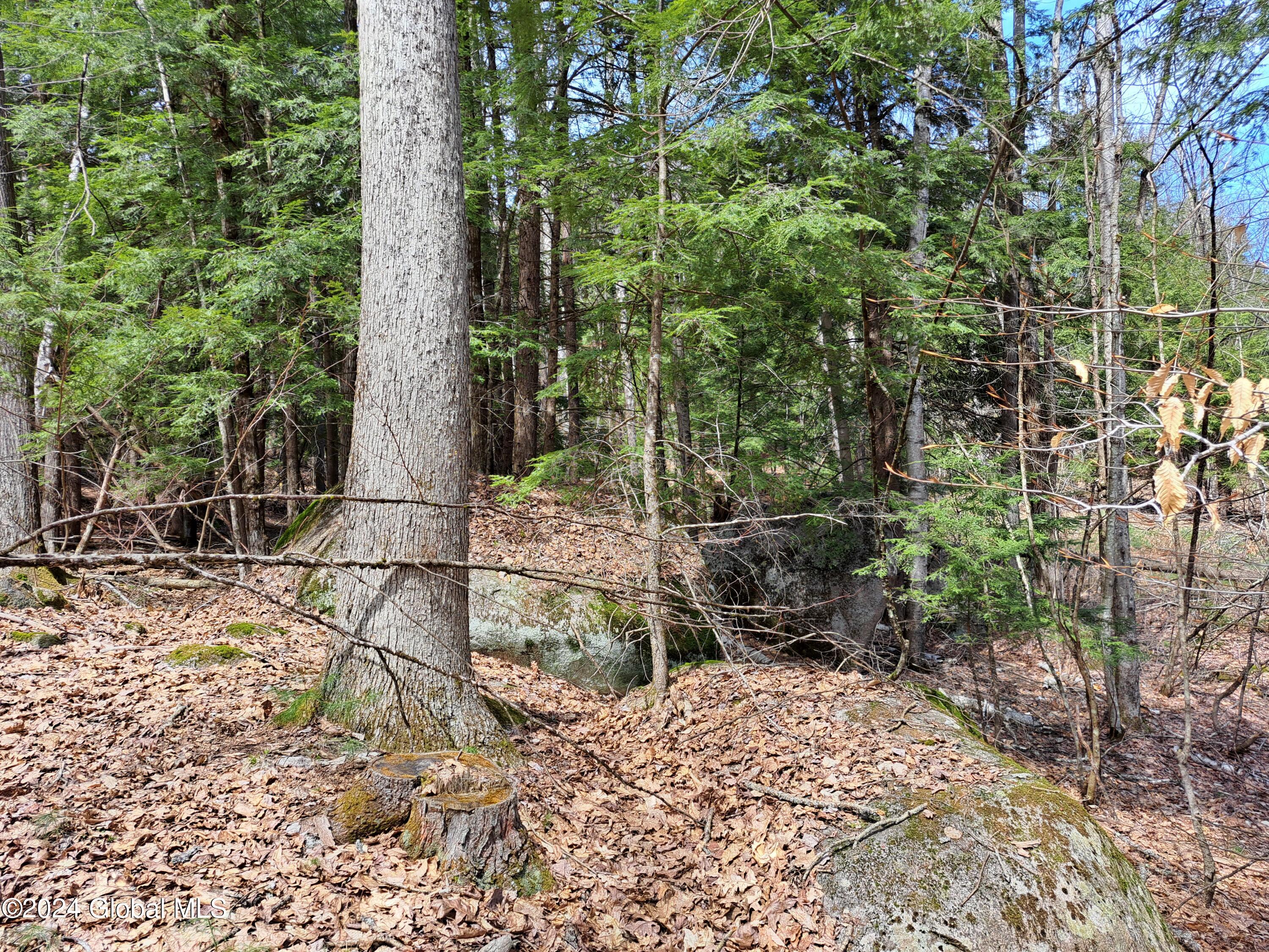 L21.1 Golf Course Road Warrensburg, NY 12885 - Photo 45 of 49 47 Large Whte Oak