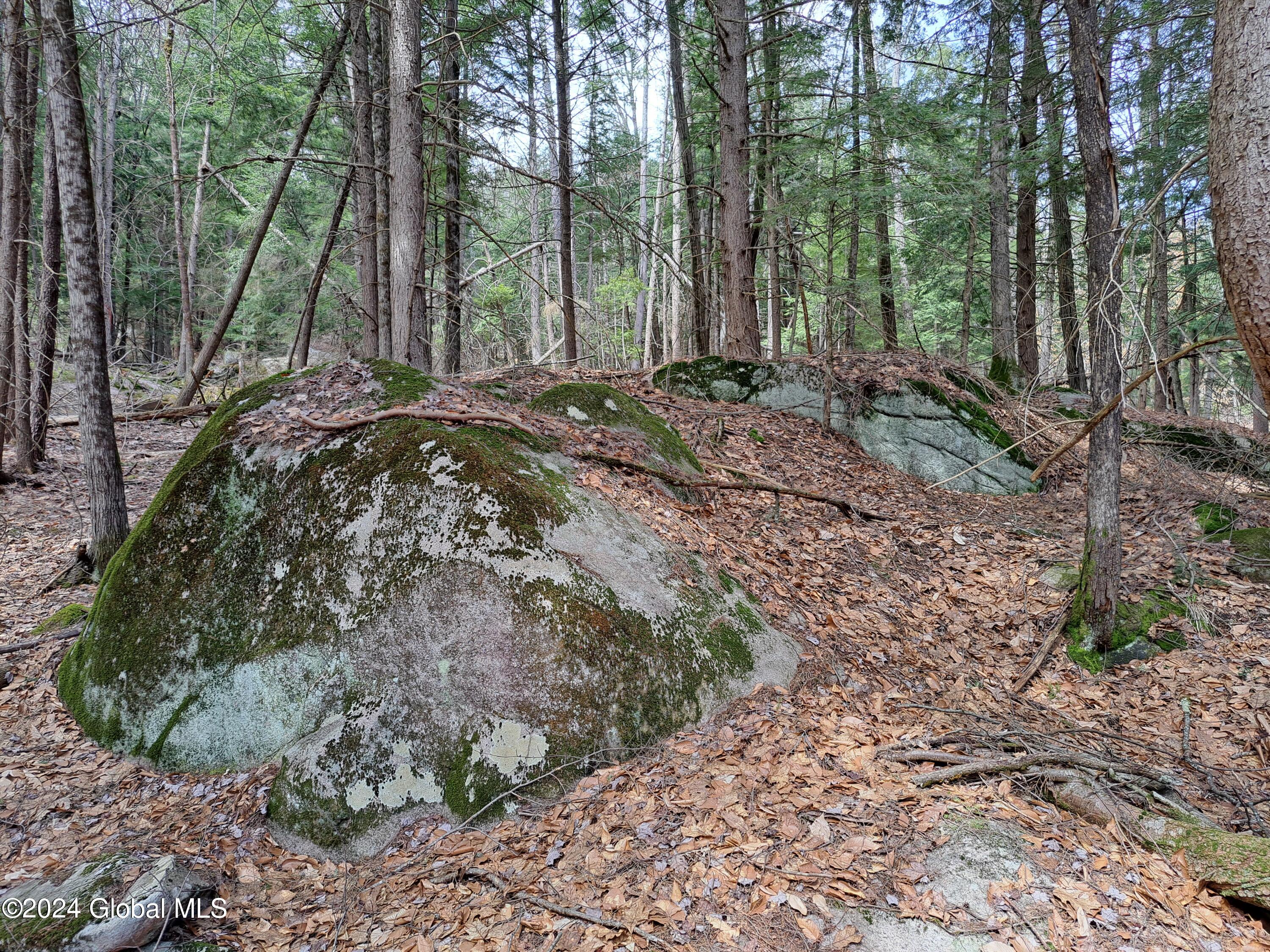 L21.1 Golf Course Road Warrensburg, NY 12885 - Photo 46 of 49 48 Rock Outcropping