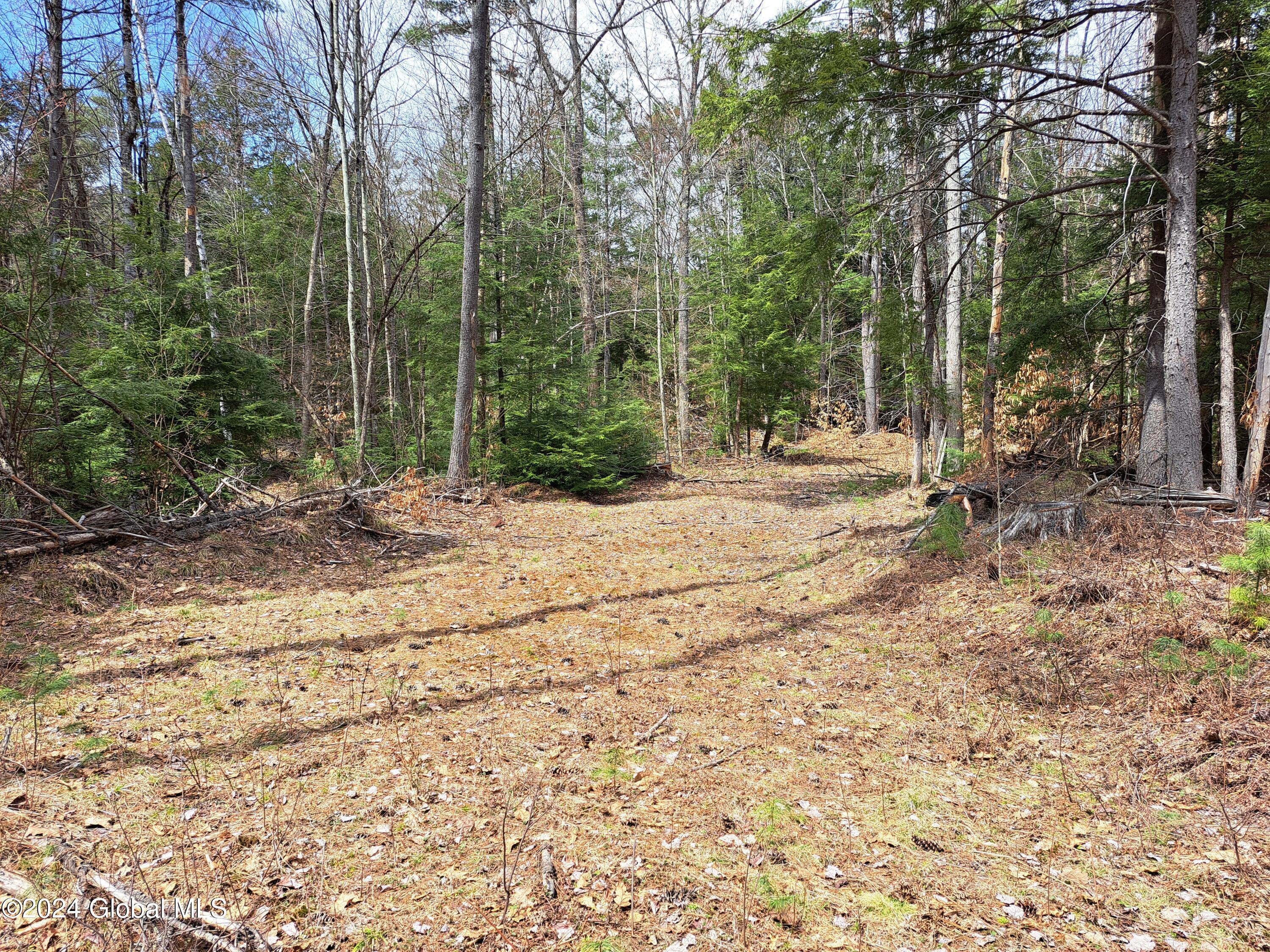 L21.1 Golf Course Road Warrensburg, NY 12885 - Photo 48 of 49 50 Small Forest Opening