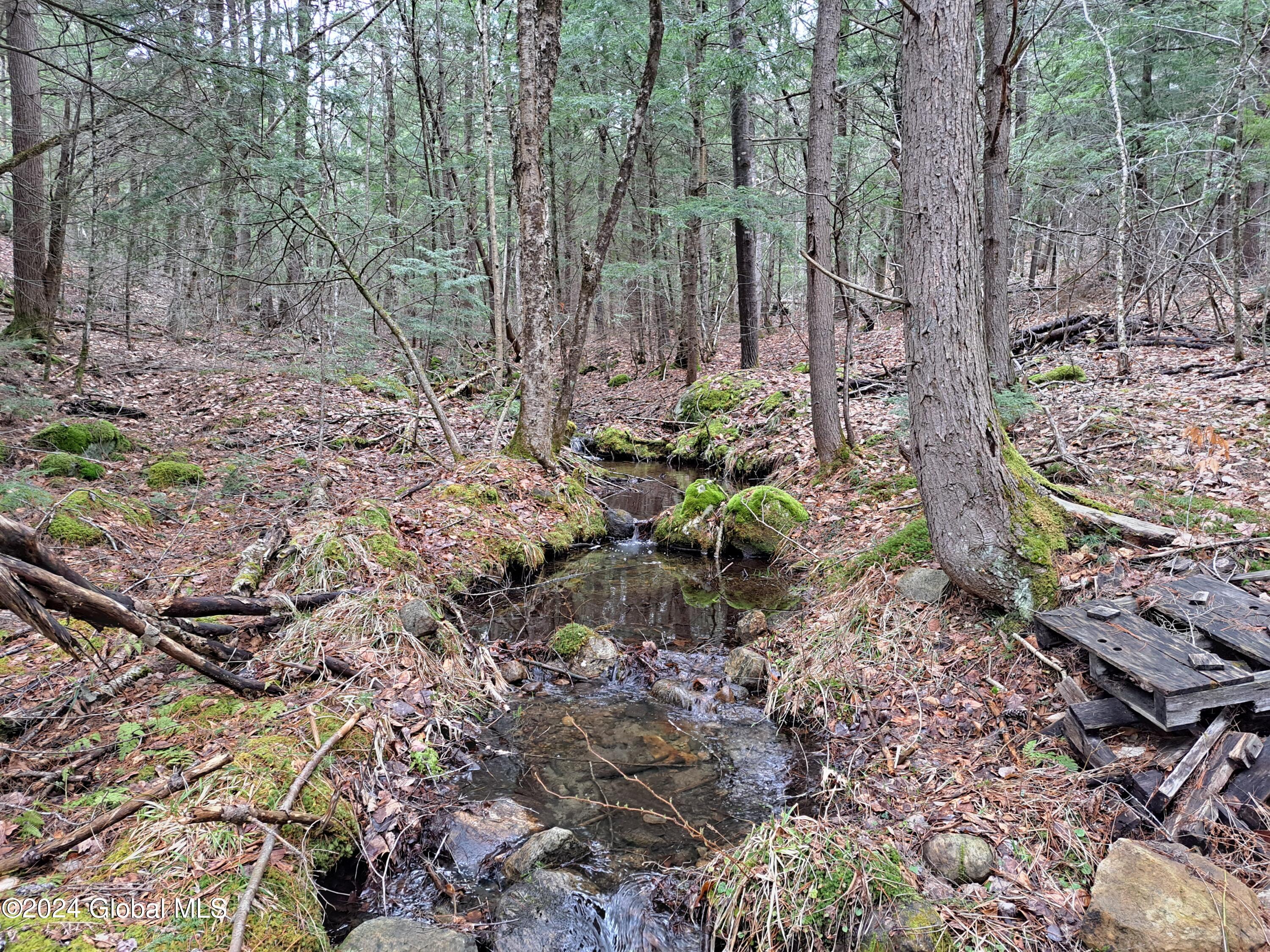 L21.1 Golf Course Road Warrensburg, NY 12885 - Photo 5 of 49 05 Stream