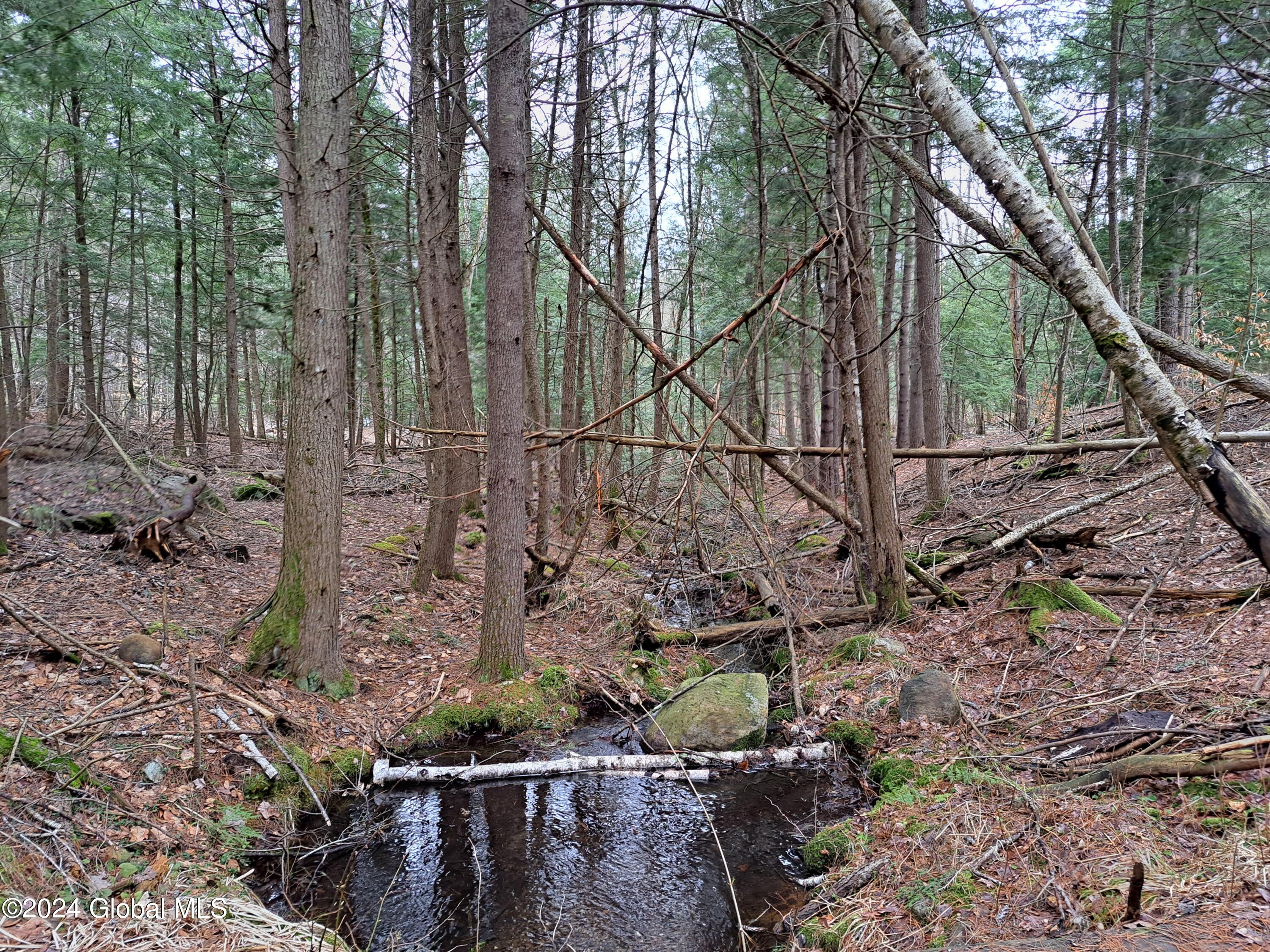 L21.1 Golf Course Road Warrensburg, NY 12885 - Photo 6 of 49 06 Stream